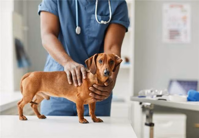 Nenhuma legenda foi fornecida para reescrita