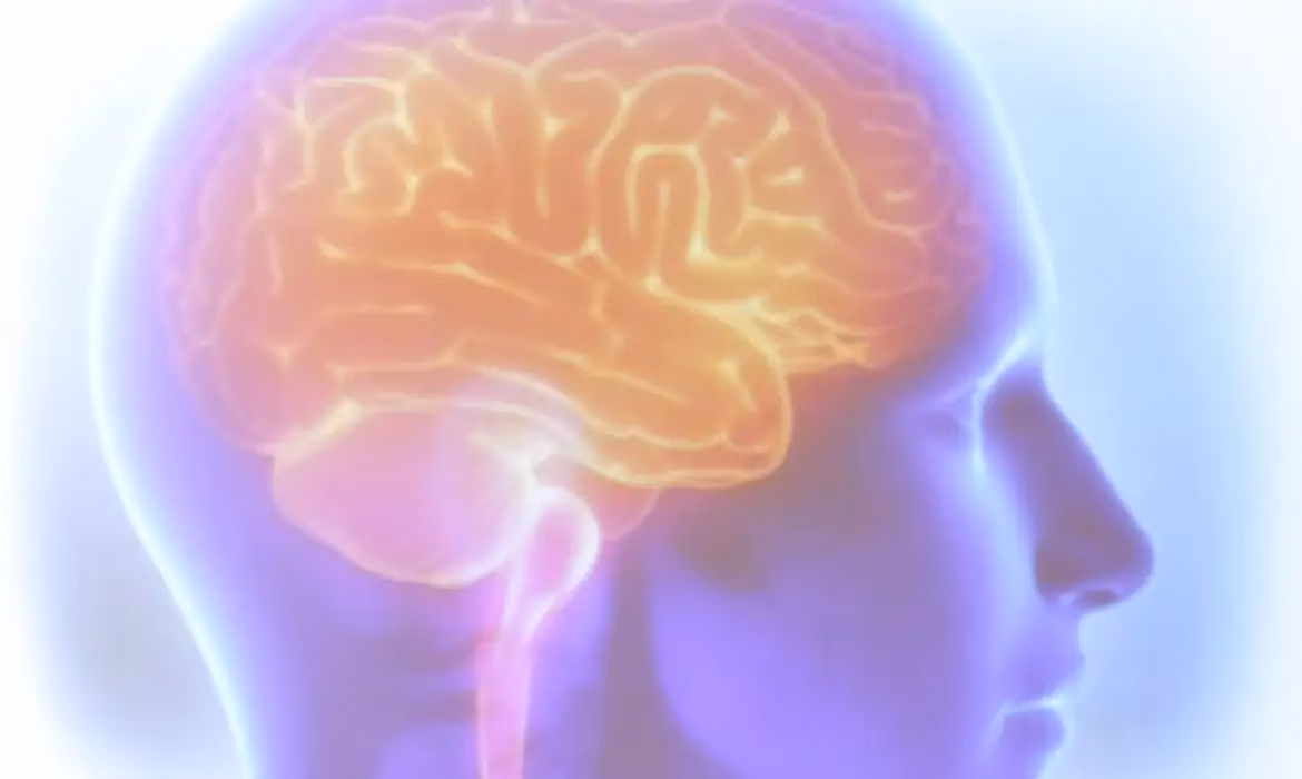 Análises do cérebro de milhares de pessoas mostram transformações profundas ao longo da vida, do nascimento até a morte