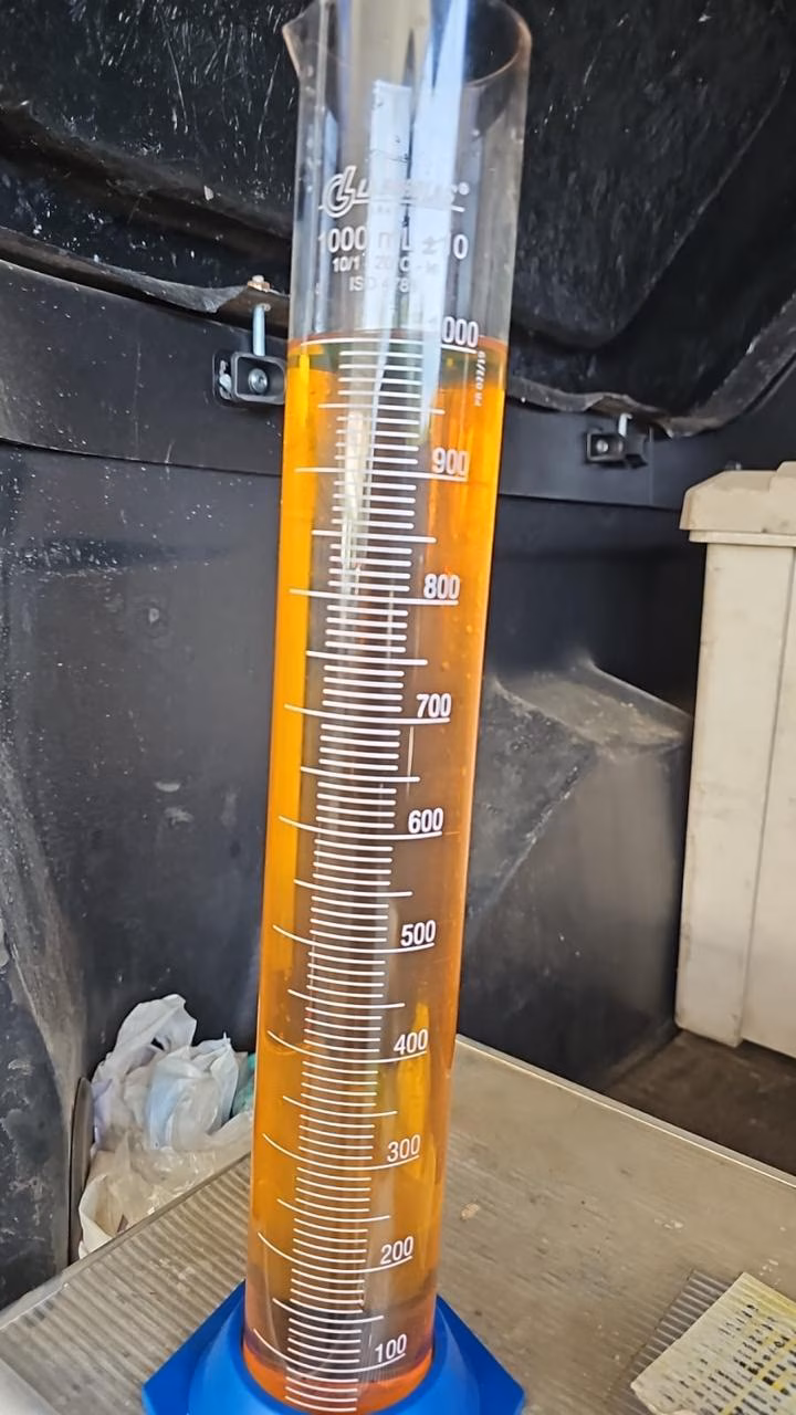 Na floresta amazônica, a biodiversidade enfrenta ameaças crescentes devido ao avanço do desmatamento e das mudanças climáticas