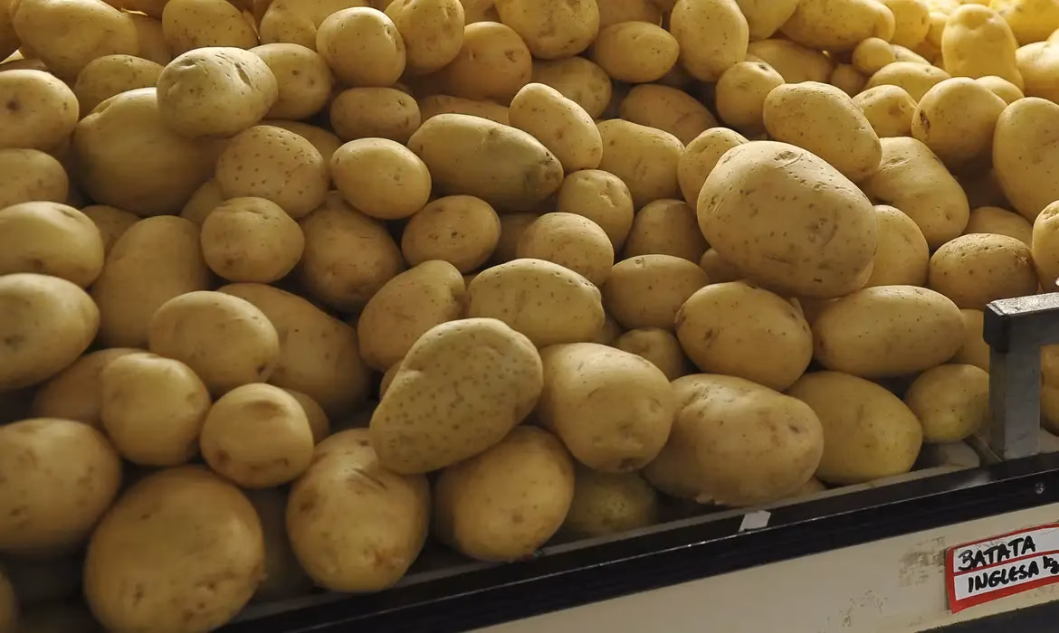 Segundo levantamento do Nupes, a cesta básica registrou oscilações em novembro, com aumentos em alguns itens e queda em outros, mas manteve um quadro geral de estabilidade