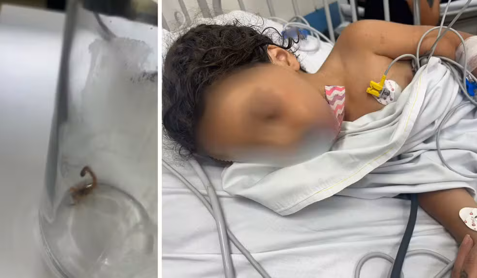 A menina foi encaminhada ao hospital e recebeu alta ainda no mesmo dia