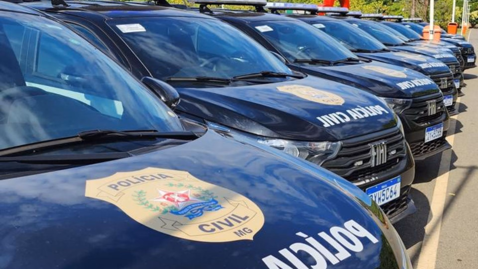 O conjunto de provas apontou que os autores dividiram funções, utilizaram uma arma de fogo calibre .380 e que o investigado fugiu logo após o crime