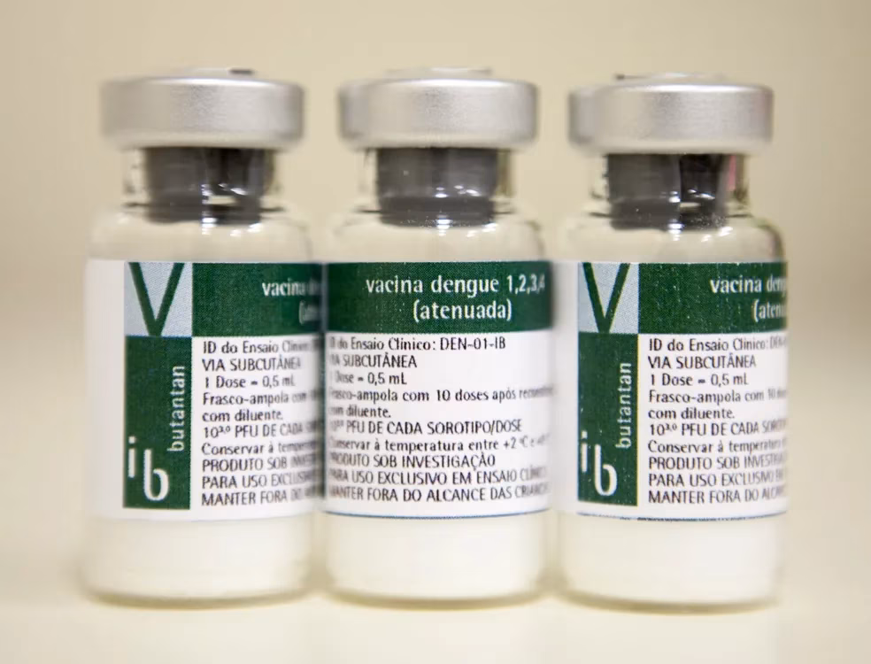 Imunizante contra a dengue produzido pelo Instituto Butantan