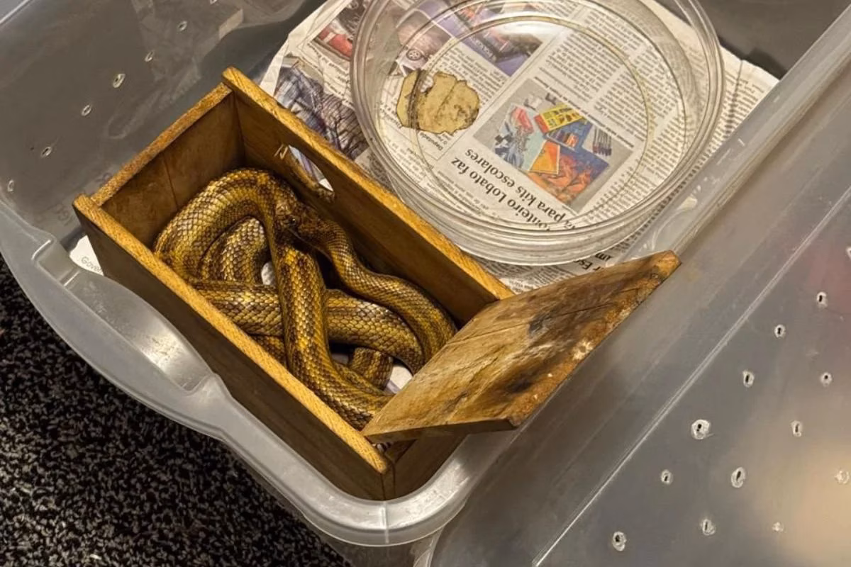 A família recebeu multa ambiental no valor de R$ 15 mil