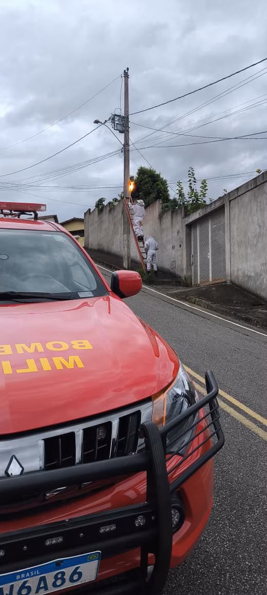 Após avaliação, os militares verificaram que havia um furo no poste, o que impossibilitou a captura do enxame de forma segura. Para preservar a integridade dos moradores, foi decidido pelo extermínio das abelhas.