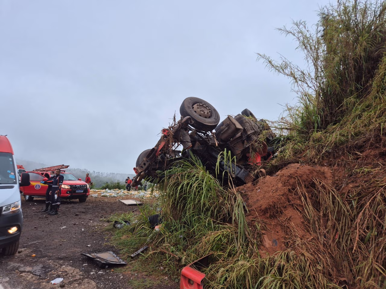 A carreta transportava uma carga de nutrição animal e seguia no sentido Vitória.