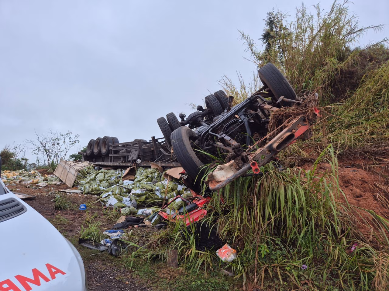 A carreta transportava uma carga de nutrição animal e seguia no sentido Vitória.