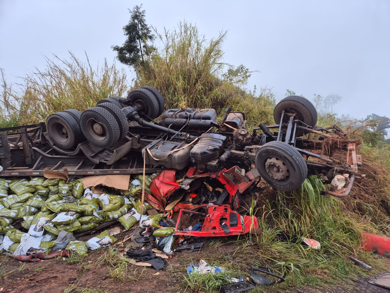 A carreta transportava uma carga de nutrição animal e seguia no sentido Vitória.