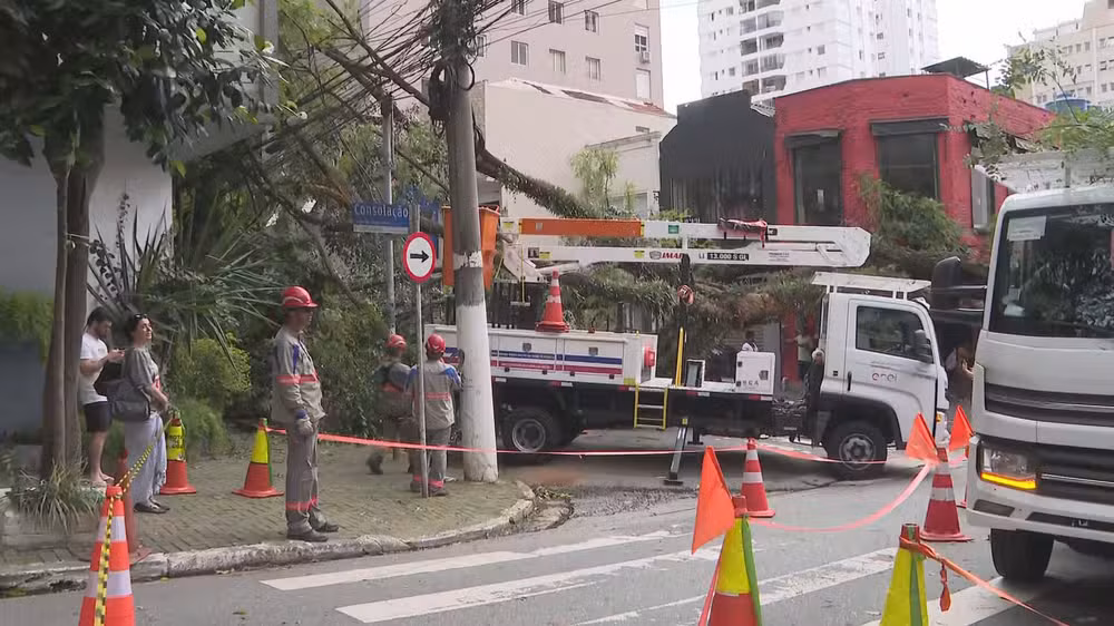 Enel teabalha para retirar árvore que caiu nos Jardins, Zona oeste da capital paulista