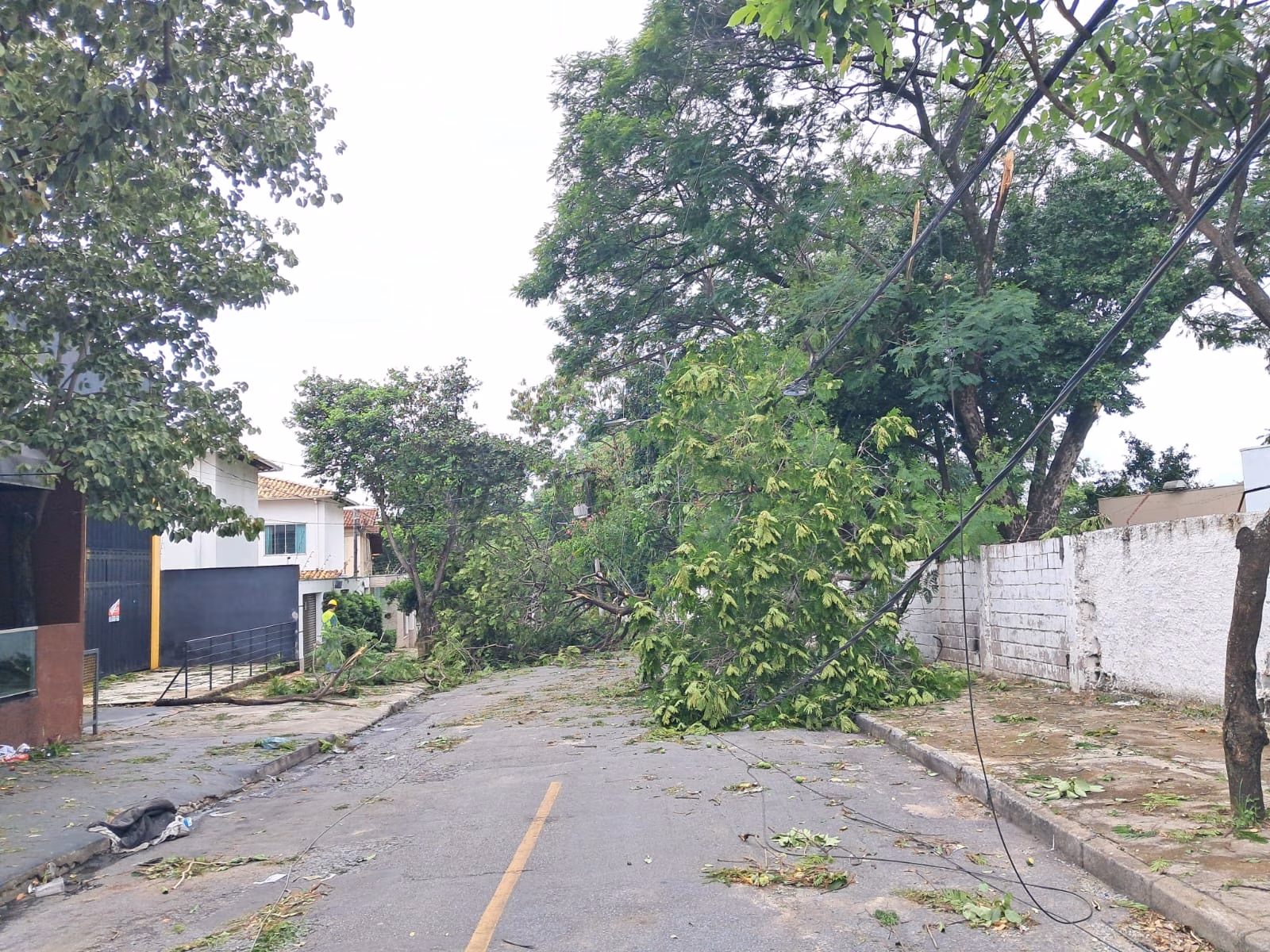Fwd: Cemig alerta para riscos e orienta como proceder em caso de quedas de árvores durante tempestades