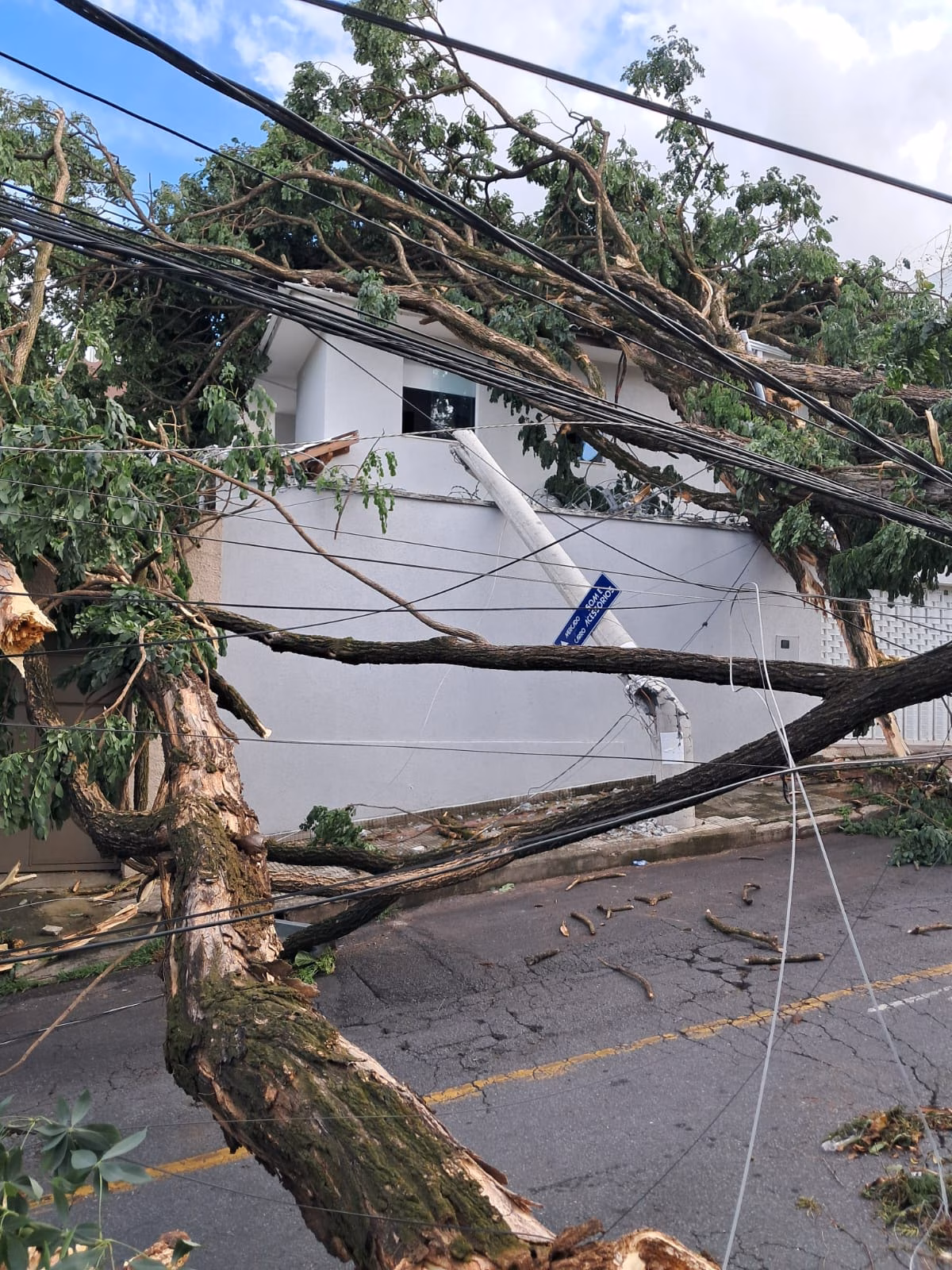 Fwd: Cemig alerta para riscos e orienta como proceder em caso de quedas de árvores durante tempestades