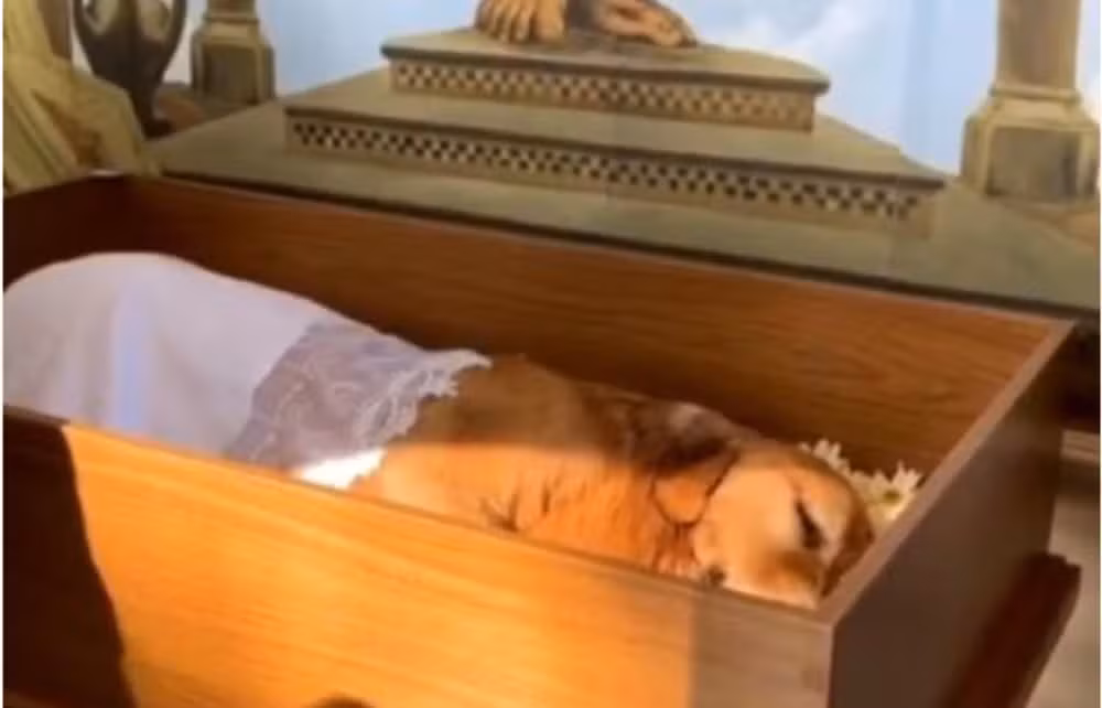 Velório do cão Joca, que morreu em um voo aéreo em 2024; caso ganhou repercussão na época