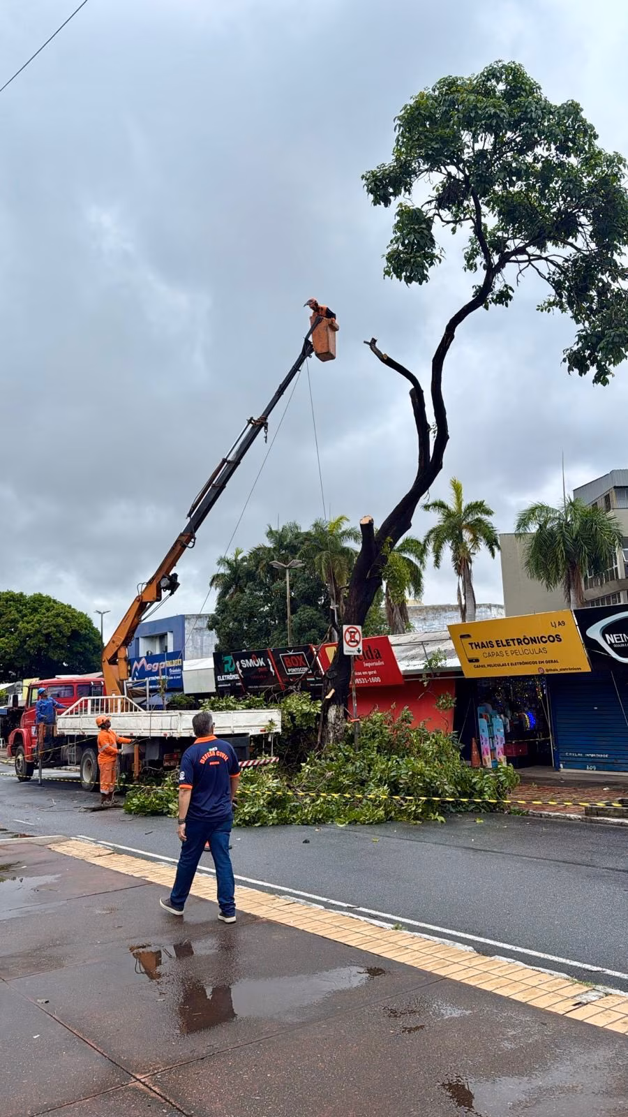 Sugestão de pauta: Defesa Civil de Ipatinga registra mais de 100 atendimentos desde sexta-feira (12) após chuva e ventos intensos