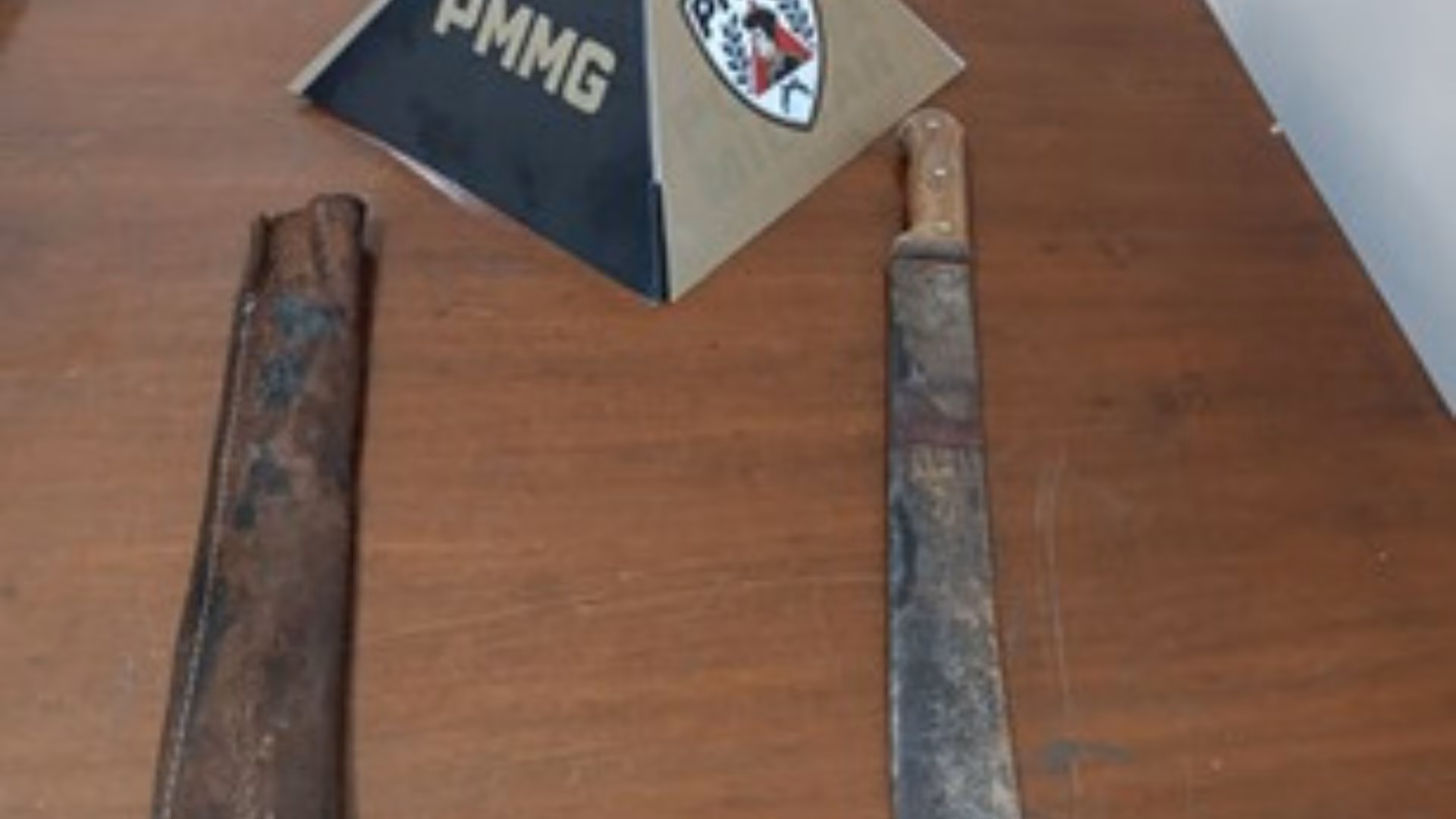 Durante o patrulhamento, os militares receberam informações de que o suspeito estaria tentando fugir ao pular de casa em casa, nas proximidades do local do crime, na tentativa de escapar da abordagem.