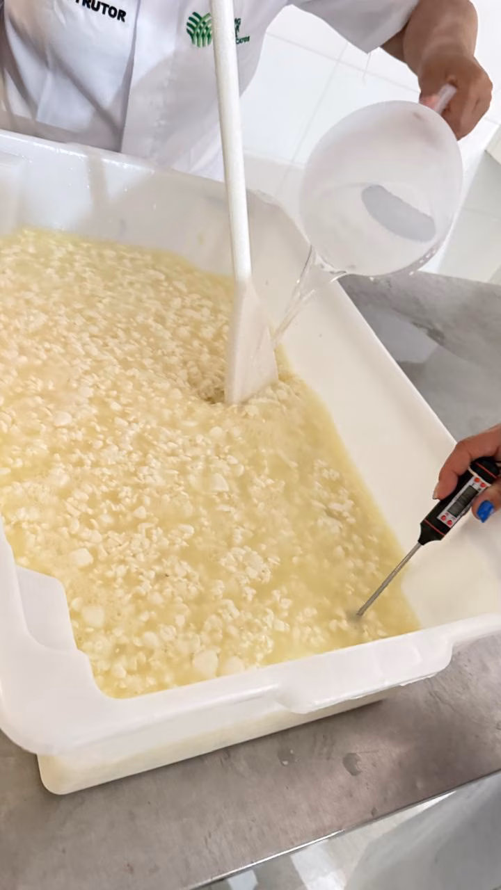 Sugestão de pauta: Ipatinga encerra Curso de Derivados do Leite com foco na produção do queijo minas artesanal