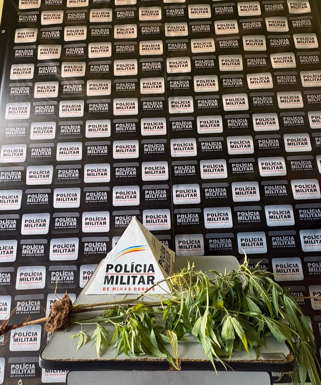 Ainda conforme o registro policial, ele teria demonstrado comportamento suspeito ao notar a aproximação da viatura, o que motivou a abordagem.