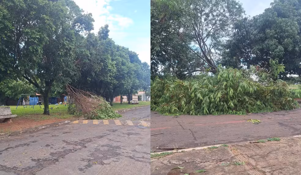 Em Martinópolis (SP), o vendaval provocou danos em diferentes pontos do município.