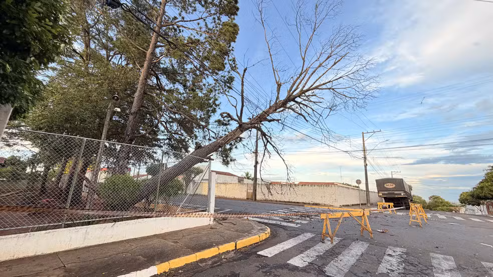 Estragos foram registrados em Adamantina nesta quinta-feira (25).