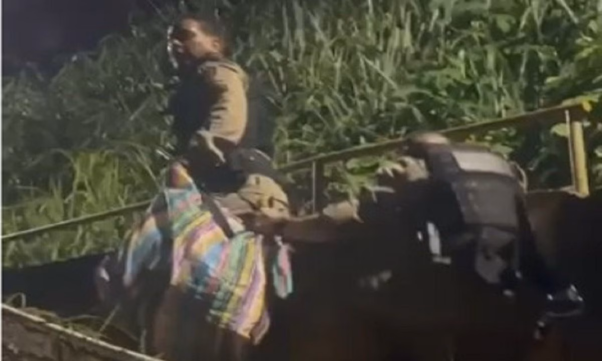 Durante buscas no imóvel, os policiais localizaram grande quantidade de entorpecentes, incluindo maconha, cocaína e lança-perfume, além de material para preparo e embalo das drogas, munições e R$ 530 em dinheiro. Todo o material foi recolhido e levado para a delegacia.