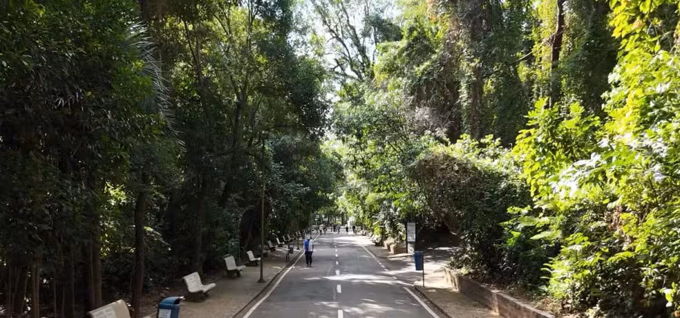 Medida será reavaliada em 24h. Decisão segue decreto que estabelece o fechamento de parques e bosques ao público quando chuvas ultrapassam limite seguro.