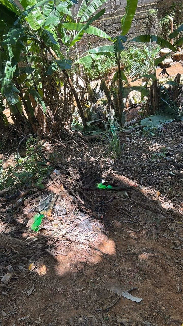 Com a vítima, os peritos encontraram ainda um facão escondido na manga de sua vestimenta, elemento que passa a integrar o conjunto de indícios a serem analisados na investigação.