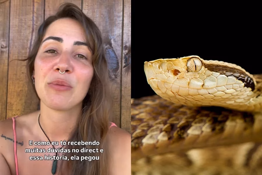 A influenciadora Débora Peixoto contou que foi picada por uma cobra jararaca durante uma trilha em Ilhabela (SP)