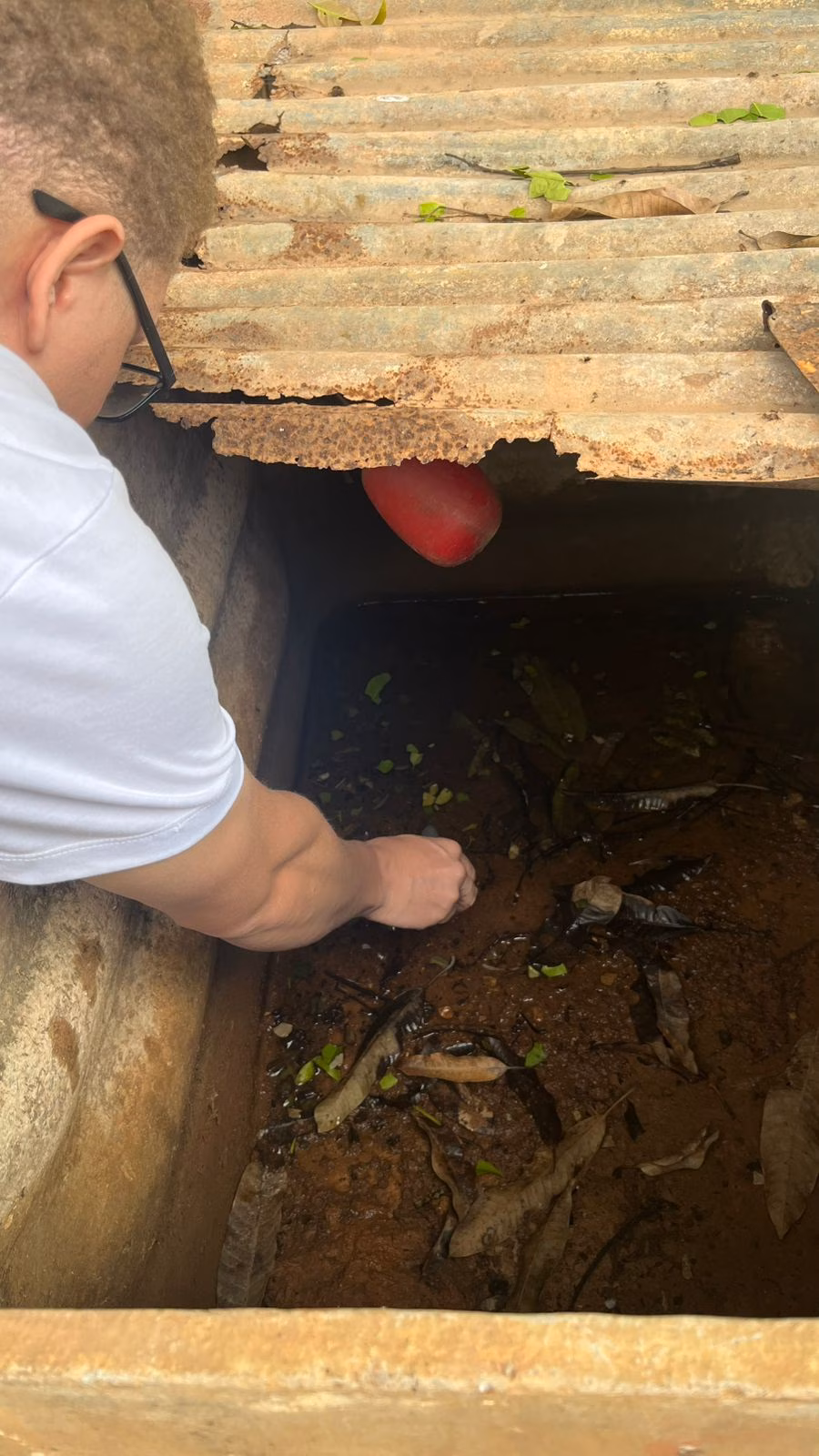 16.01 - Release PMT - Primeiro LIRAa de 2026, em Timóteo, mostra eficiência no combate ao mosquito transmissor das arboviroses