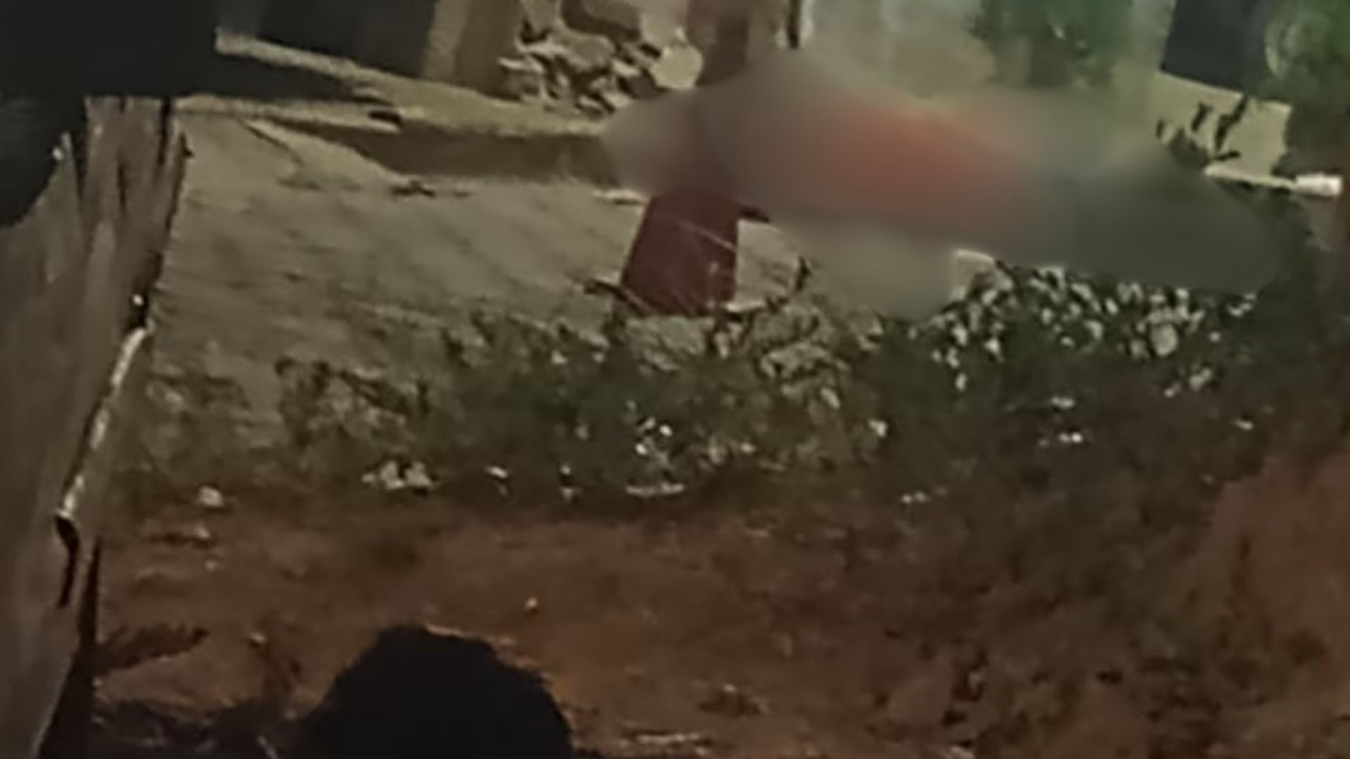 Mesmo com a análise detalhada, não foi possível determinar o calibre da arma utilizada, e nenhum estojo de munição foi encontrado nas proximidades.