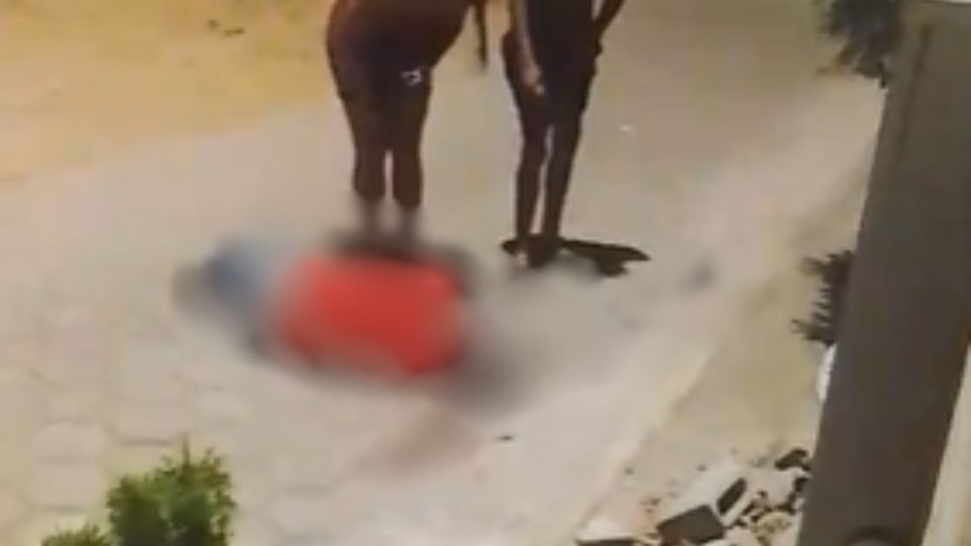 Mesmo com a análise detalhada, não foi possível determinar o calibre da arma utilizada, e nenhum estojo de munição foi encontrado nas proximidades.