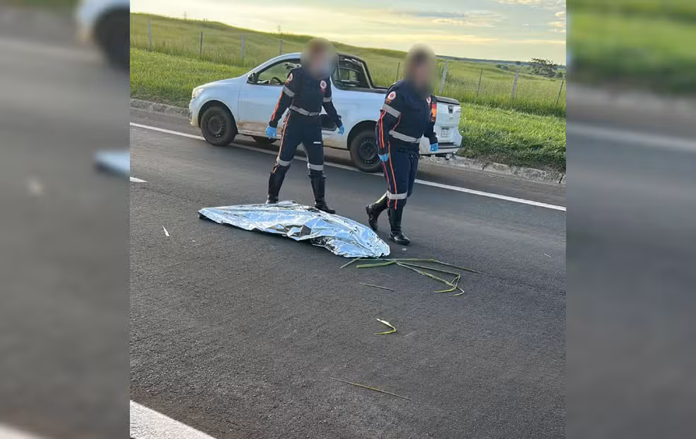 Pedestre atropelada é dada como morta, deixada na pista pelo Samu e reanimada por socorristas em Bauru (SP)