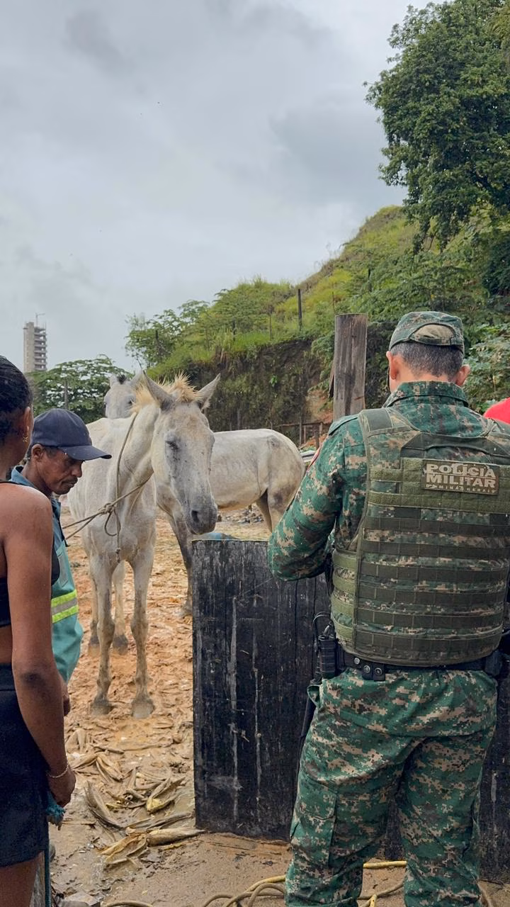 SUGESTÃO DE PAUTA: Após ocupação policial, Prefeitura de Ipatinga inicia ações de saúde, ordenamento e assistência social