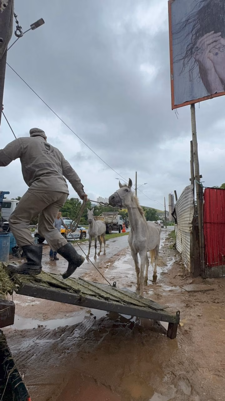 SUGESTÃO DE PAUTA: Após ocupação policial, Prefeitura de Ipatinga inicia ações de saúde, ordenamento e assistência social