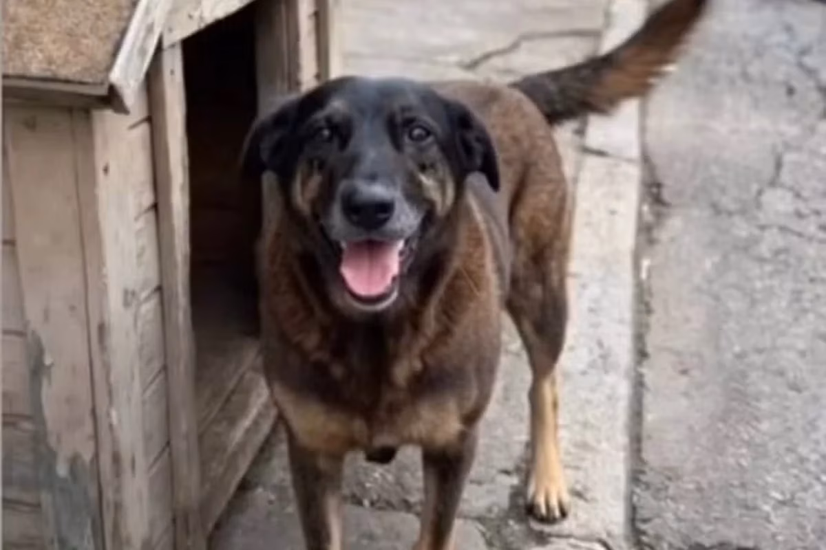 Os investigadores apuram se um caso estaria relacionado ao outro e se os crimes foram cometidos pelos mesmos adolescentes.