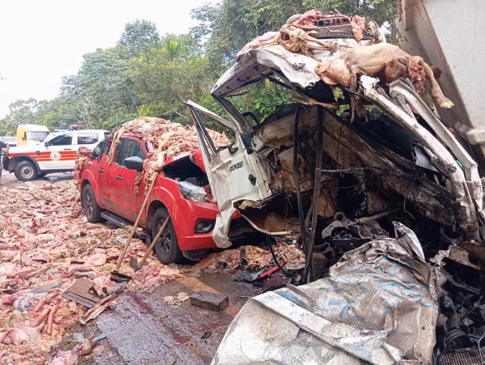 Restos de carne são espalhados pela pista após acidente na BR-010