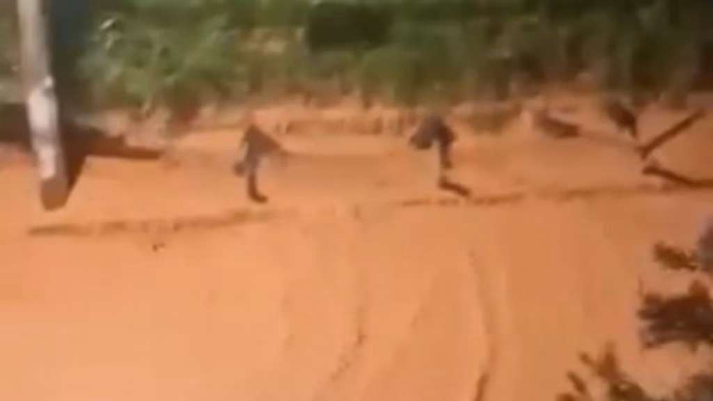 Rua ficou tomada por lama após o muro desabar 