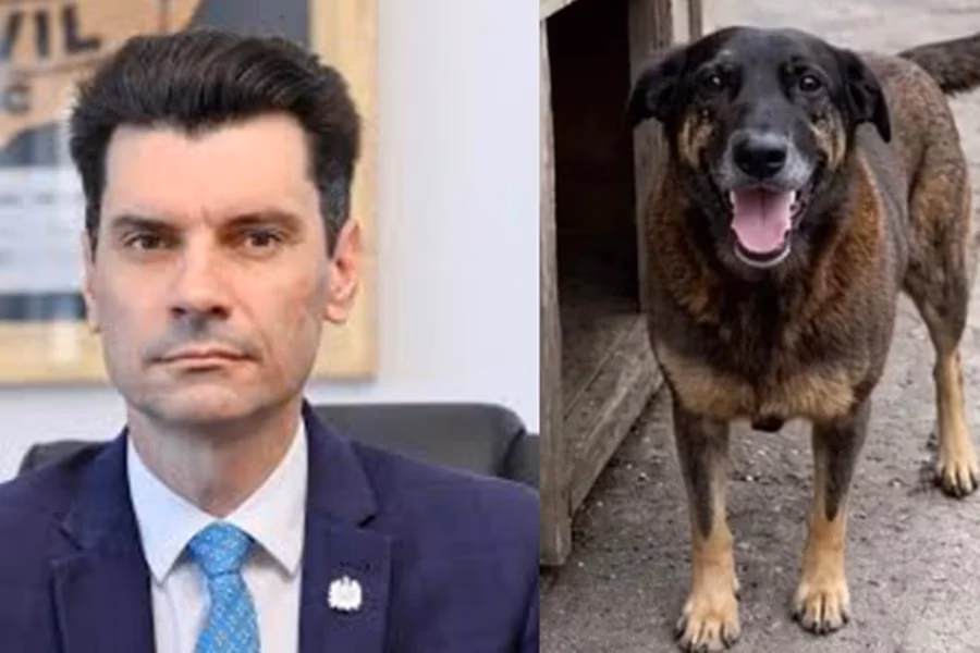 Ulisses Gabriel é pré-candidato a deputado estadual. O nome dele ganhou projeção nacional, em janeiro deste ano, com o caso do cão Orelha