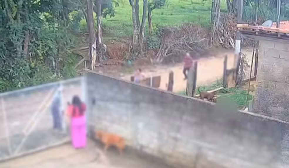 Bebê de 11 meses morre após ataque de pitbull em Socorro; Polícia Civil vai apurar possível negligência e omissão