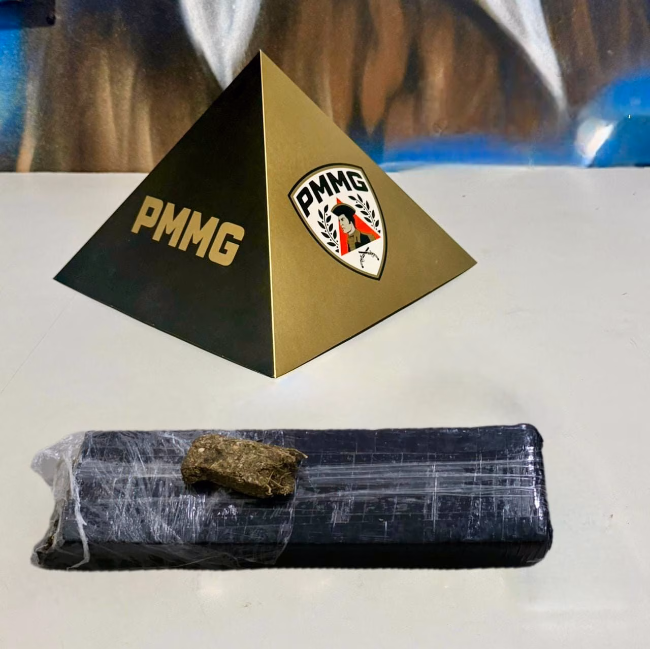 Em seguida, avistaram suspeitos fugindo por uma área de mata, próxima a torres instaladas atrás das residências.