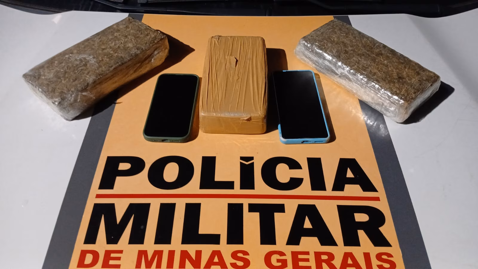 Dentro da bolsa estavam duas barras de skunk — variedade de maconha com alto teor de THC e elevado valor de mercado