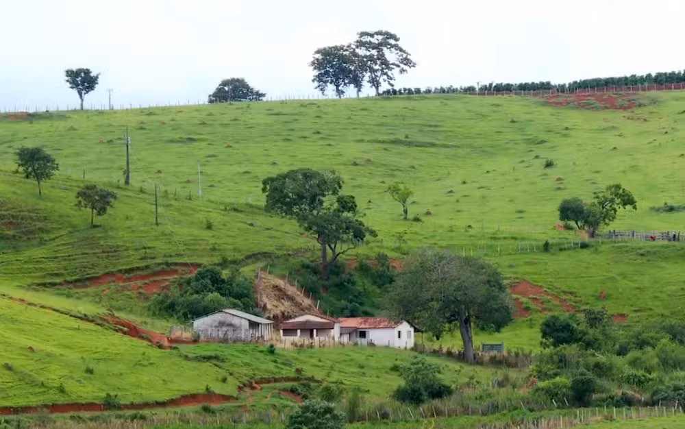 Nova área com potencial para exploração de terras raras é identificada no Sul de Minas