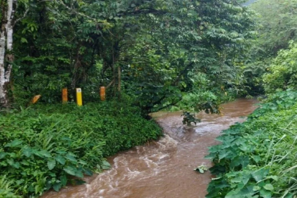 Prefeitura de São Sebastião multou a Sabesp por contaminação do Rio Maresias, decorrente de excesso de dosagem de hipoclorito