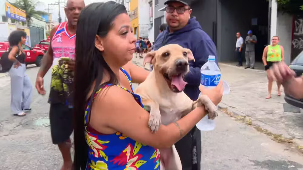 Vizinha da Motocriss conseguiu salvar o cachorro
