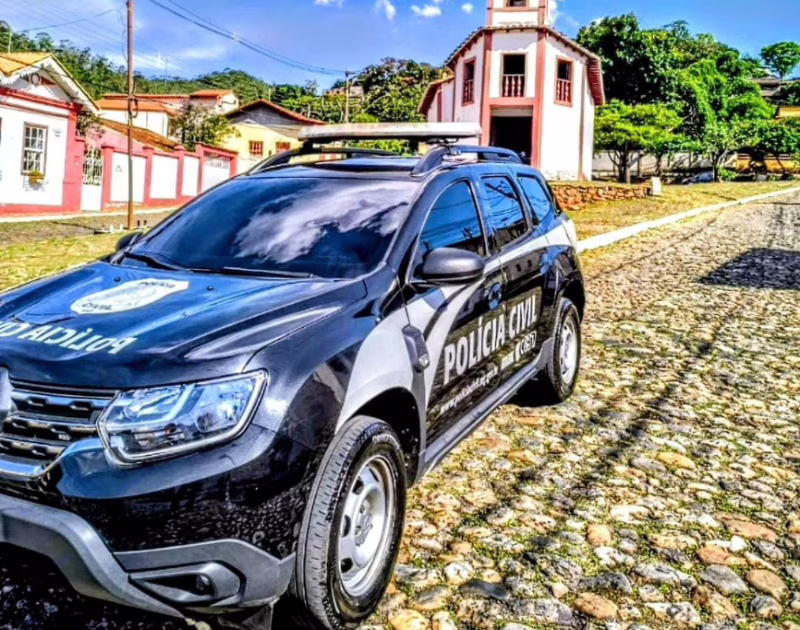 Em 27 de fevereiro deste ano, porém, testemunhas relataram que um homem foi até o terreno, recolheu os 11 filhotes e saiu carregando um saco de grande volume. Imagens de câmeras de monitoramento confirmaram a movimentação e registraram sons semelhantes ao choro dos animais, reforçando a suspeita de retirada forçada dos cães.