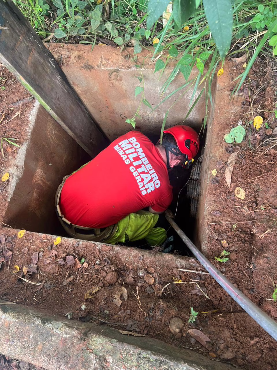 Ao chegarem ao local, os militares identificaram que os animais estavam presos no interior da estrutura de confinamento da unidade, em uma área com alto risco biológico e acesso restrito. A situação exigiu manobras cuidadosas e o uso de equipamentos específicos de segurança