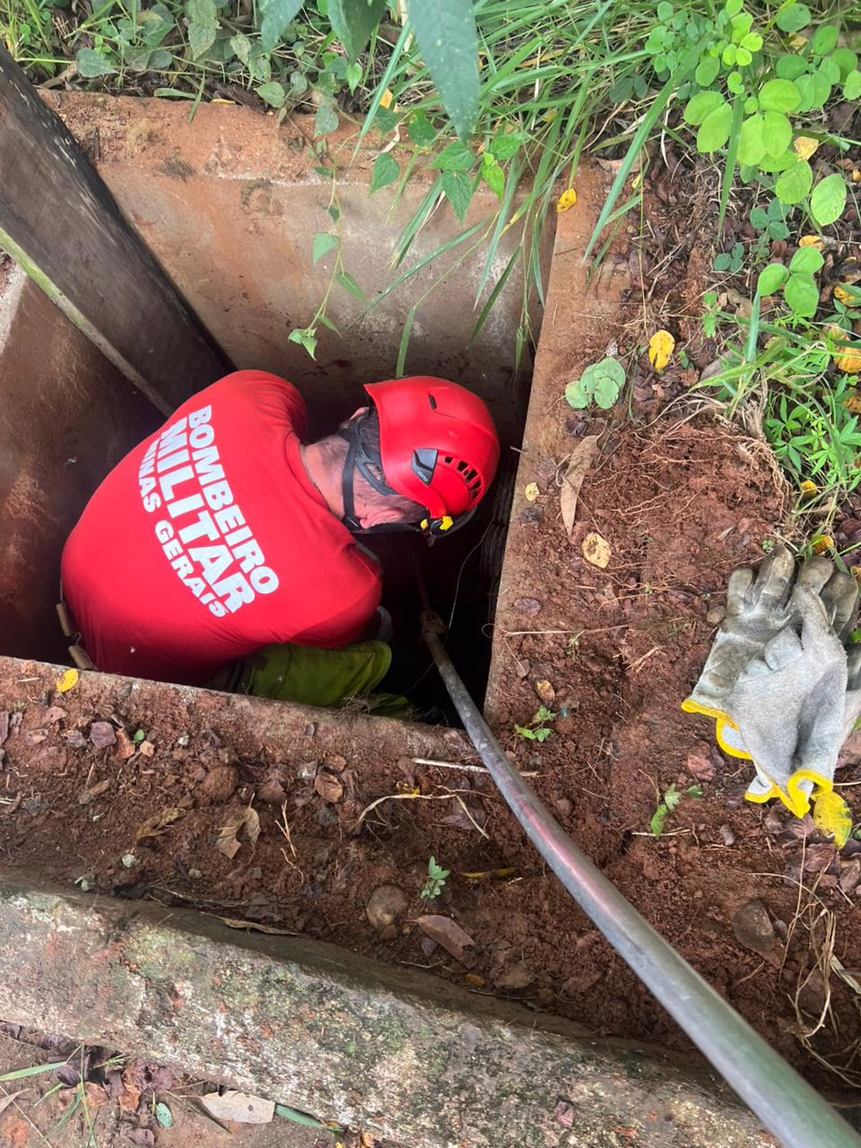 Ao chegarem ao local, os militares identificaram que os animais estavam presos no interior da estrutura de confinamento da unidade, em uma área com alto risco biológico e acesso restrito. A situação exigiu manobras cuidadosas e o uso de equipamentos específicos de segurança