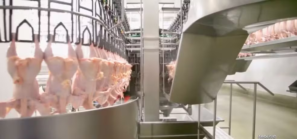 Preços da carne de frango registram altas com menor disponibilidade interna