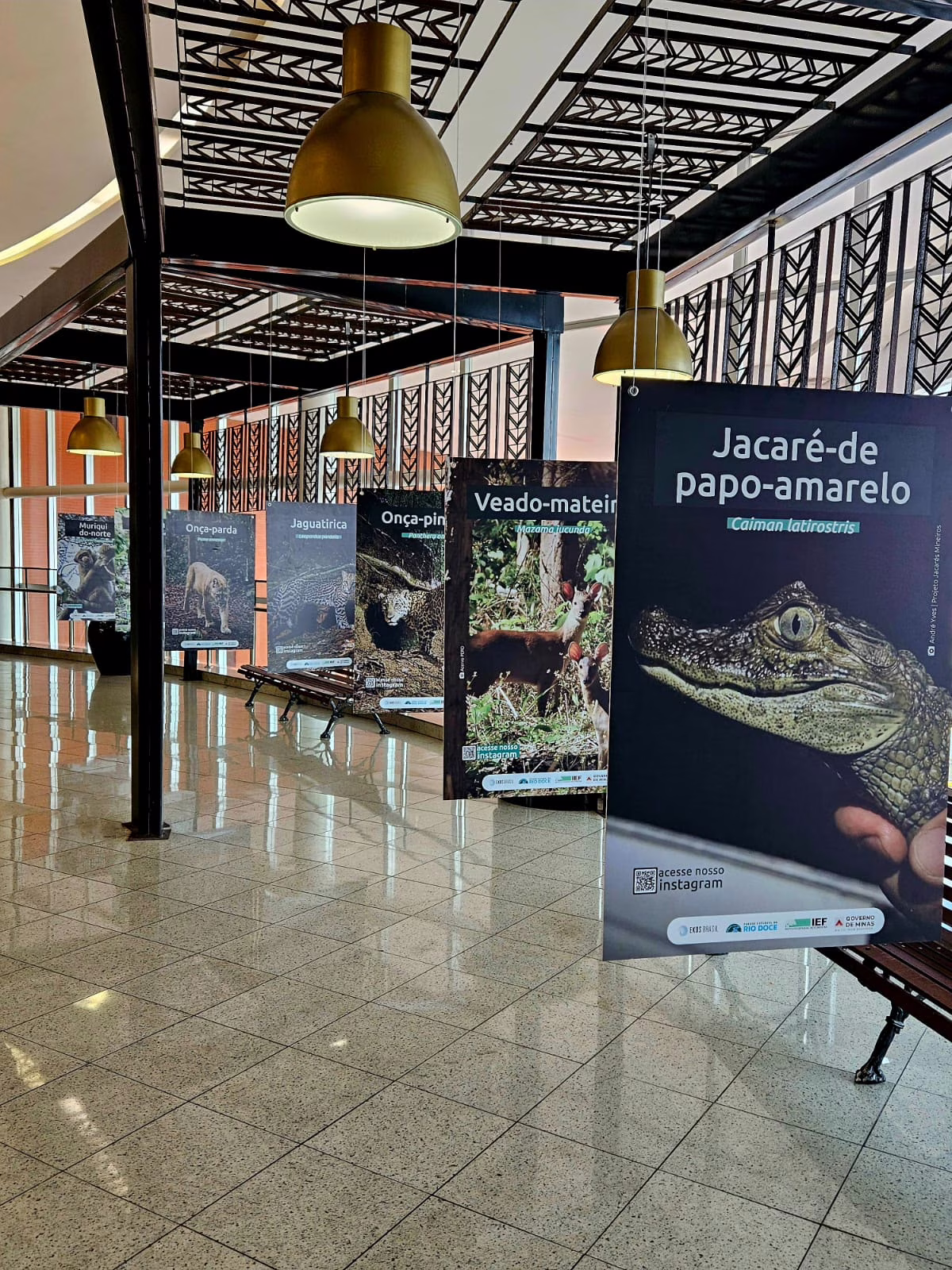 Fwd: Sugestão de pauta: Shopping Vale do Aço recebe exposição gratuita do Parque Estadual do Rio Doce até 30 de abril
