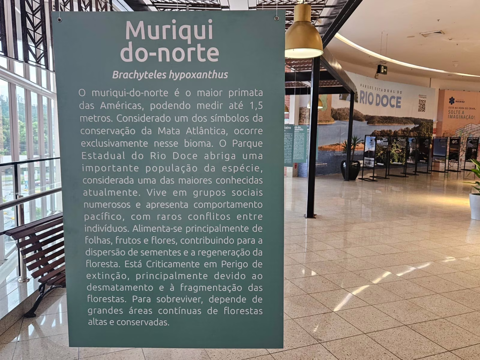 Fwd: Sugestão de pauta: Shopping Vale do Aço recebe exposição gratuita do Parque Estadual do Rio Doce até 30 de abril