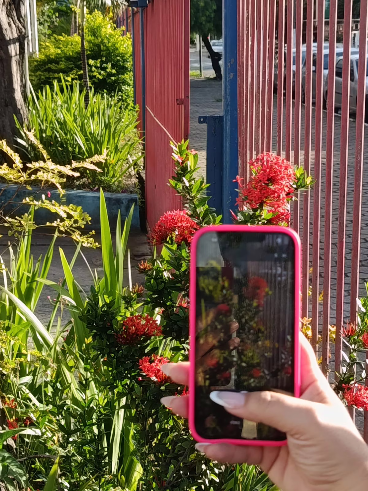 31.03 - Inscrições para oficinas de fotografias/Projeto Estação