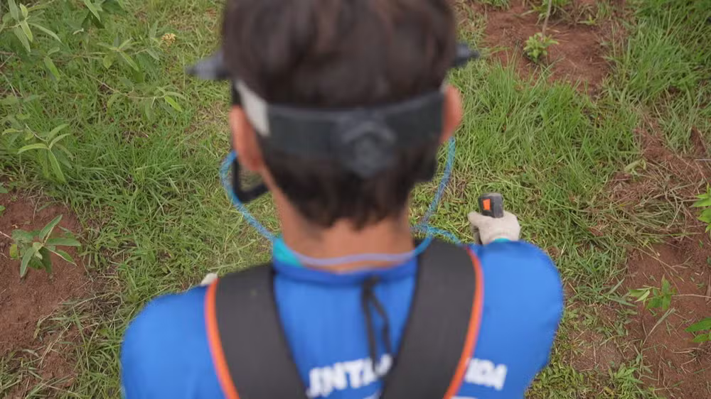 Projeto que utiliza mão de obra de detentos já plantou mais de 4,5 milhões de mudas no RJ